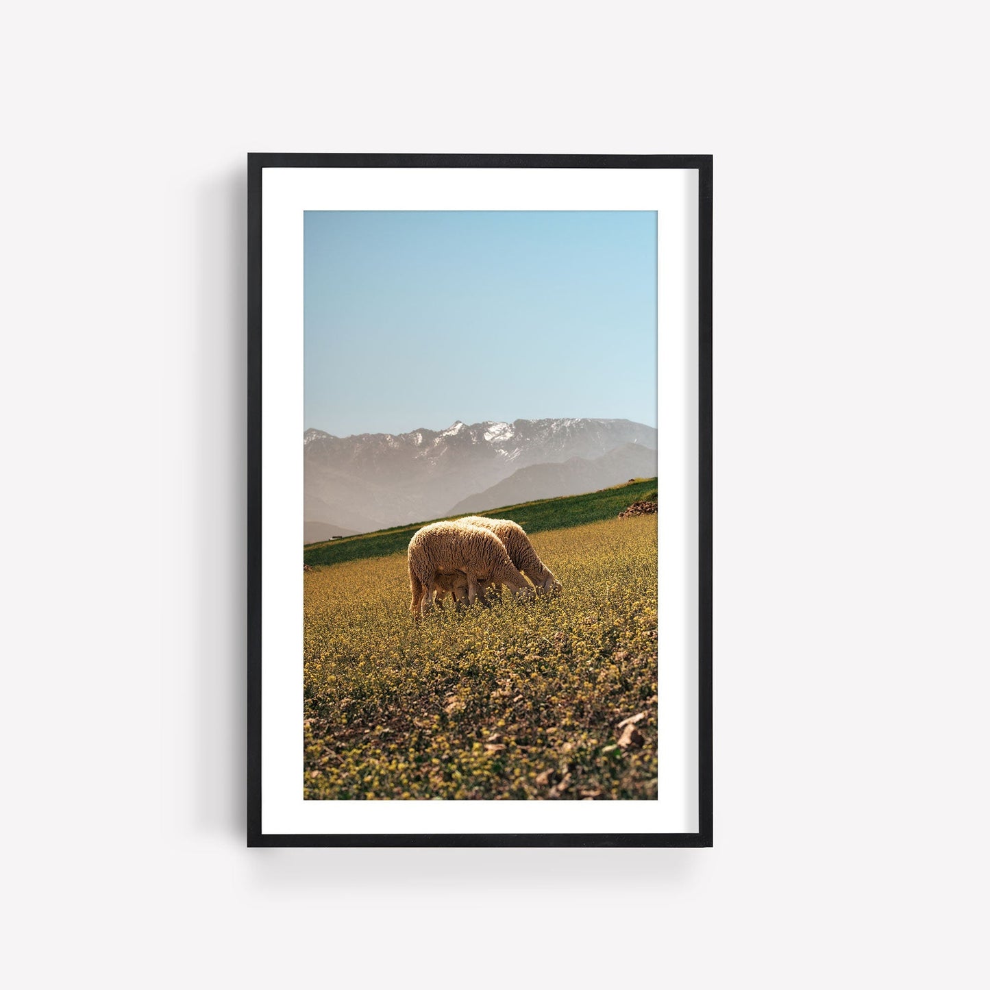A framed photo titled Atlas Mountains II shows a sheep grazing in a field with snow-capped mountains in the background.
