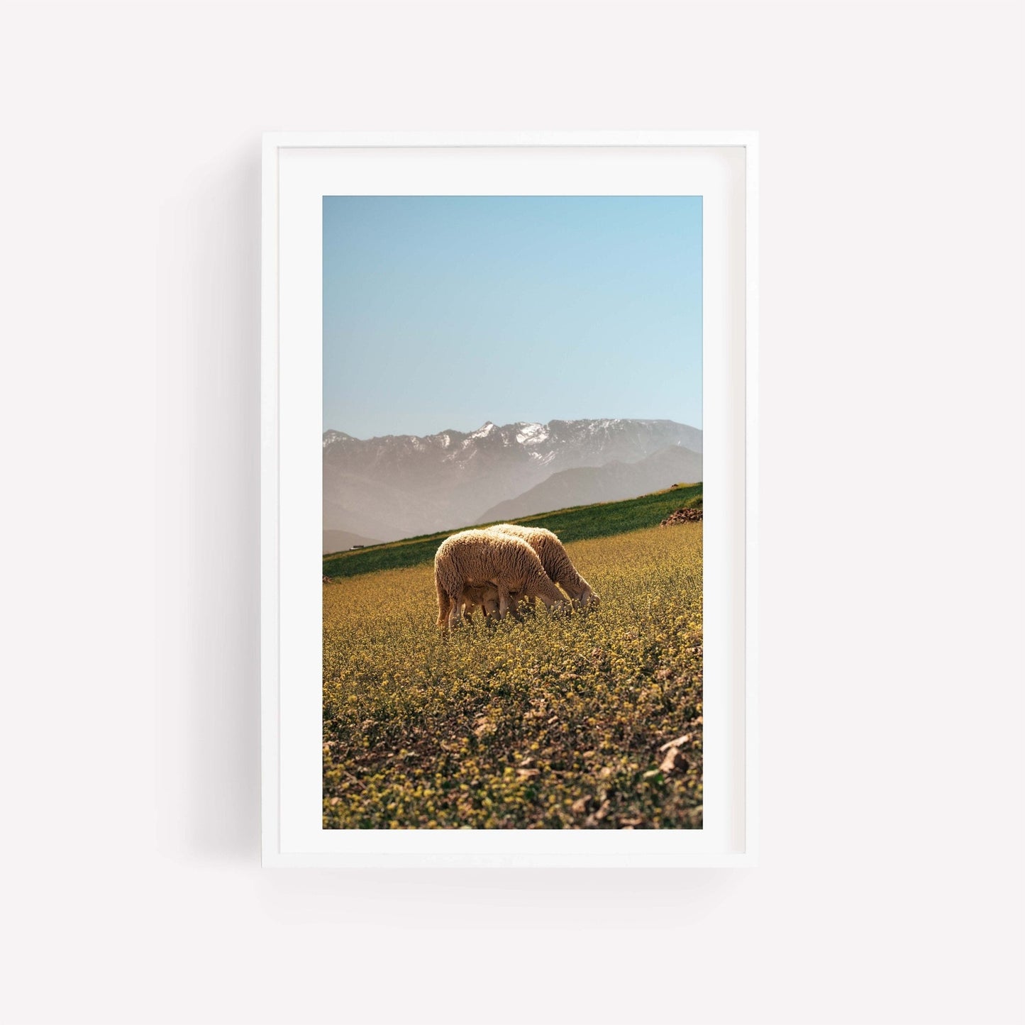 A framed photo titled Atlas Mountains II features sheep grazing under a clear sky with mountain scenery.