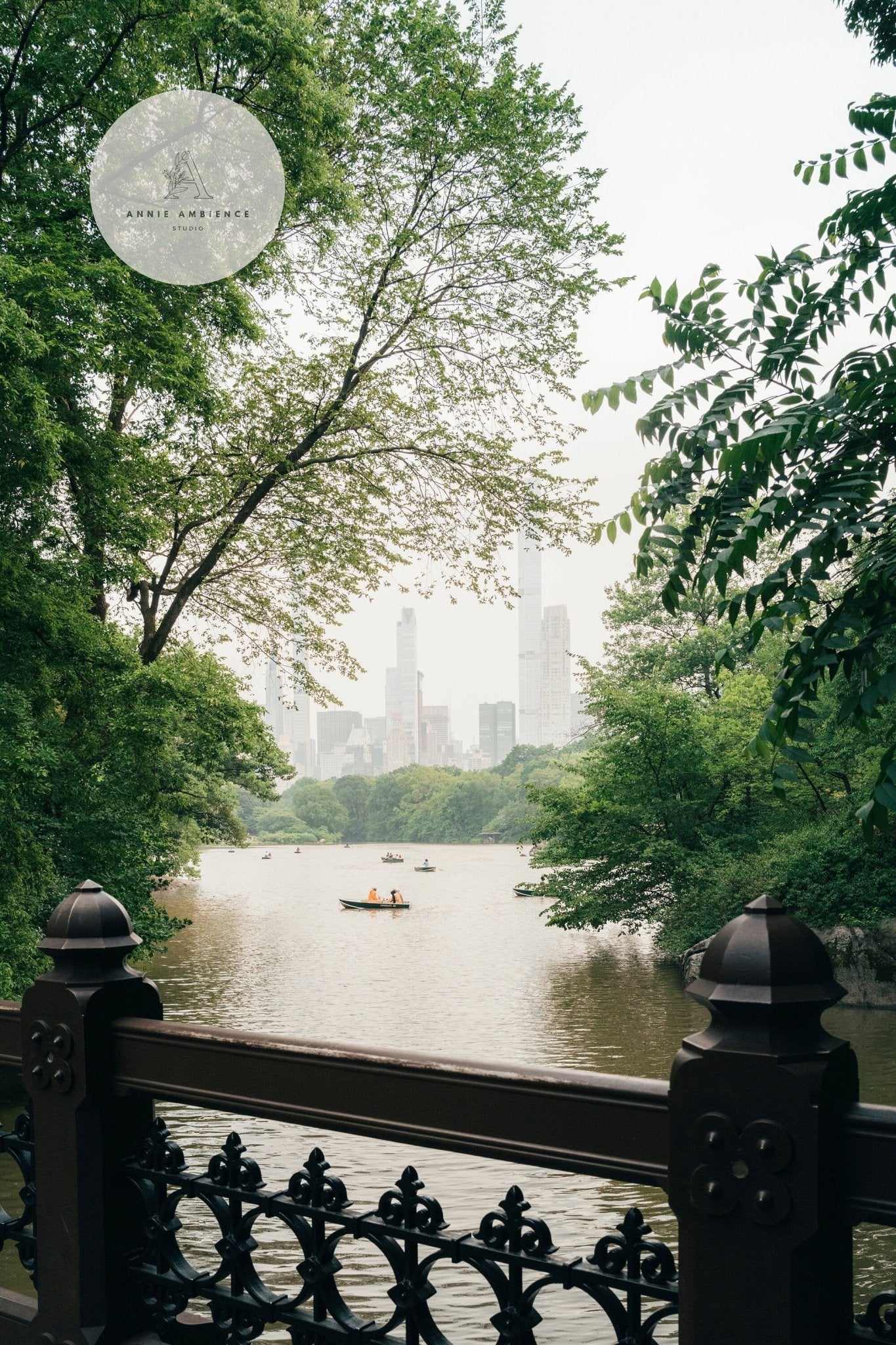 Beyond the Bridge captures a city skyline through trees over a lake with boats viewed from a decorative railing.