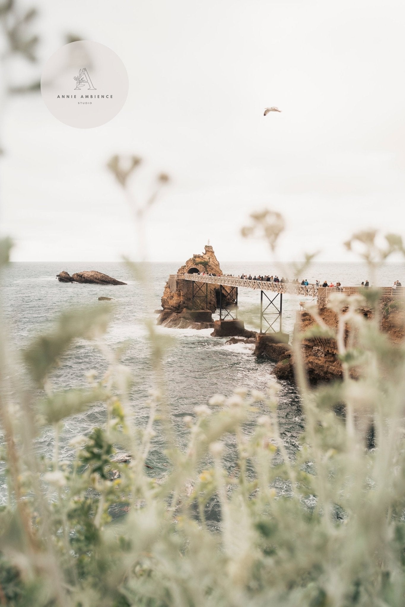 Biarritz - Set of 3: Coastal scene with a rocky promontory, a metal bridge, walkers, blurred plants, and a bird overhead.