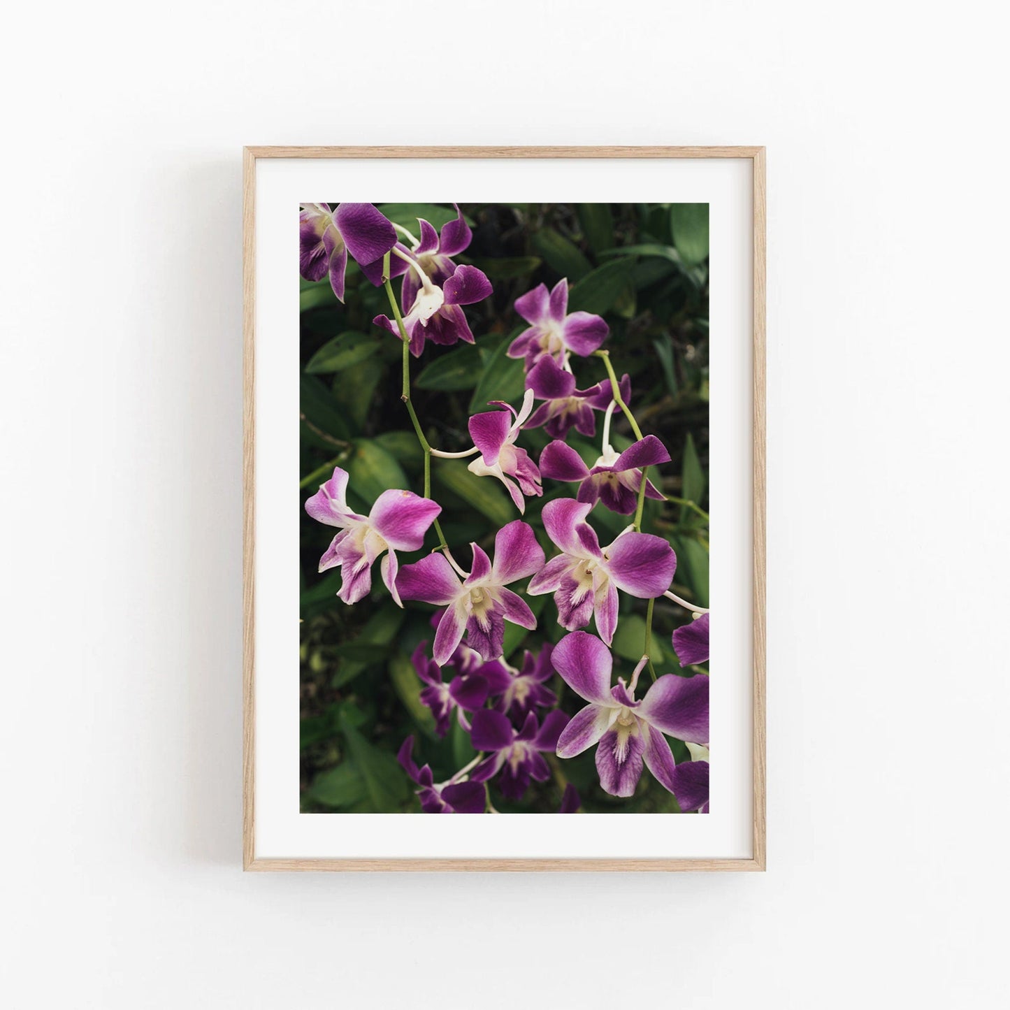 Purple Orchids framed artwork showcases vibrant purple orchids against a lush green background.