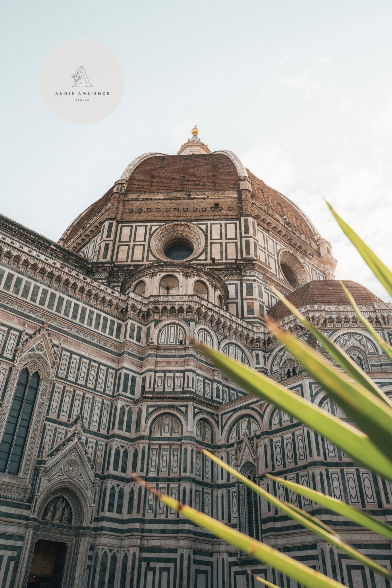 View of Duomo with architectural details and green leaves in the foreground.