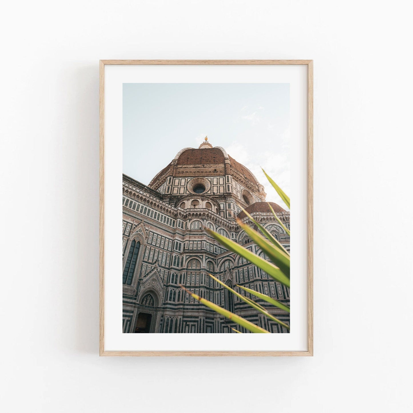 Framed photograph Duomo of Florence Cathedrals dome with architectural details and a plant in the foreground.