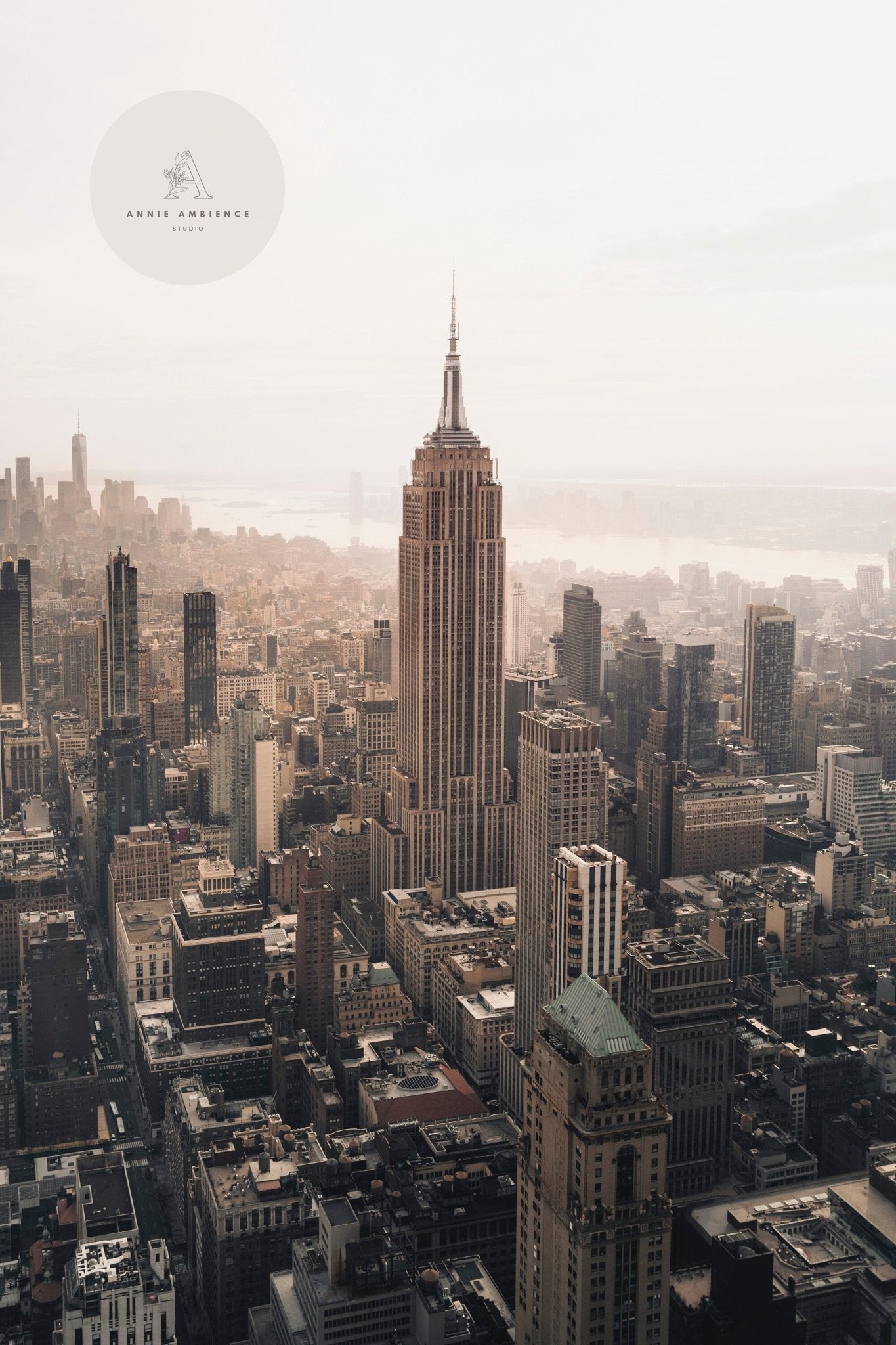 Aerial shot of NYC skyline featuring the Empire State Building under cloudy skies.