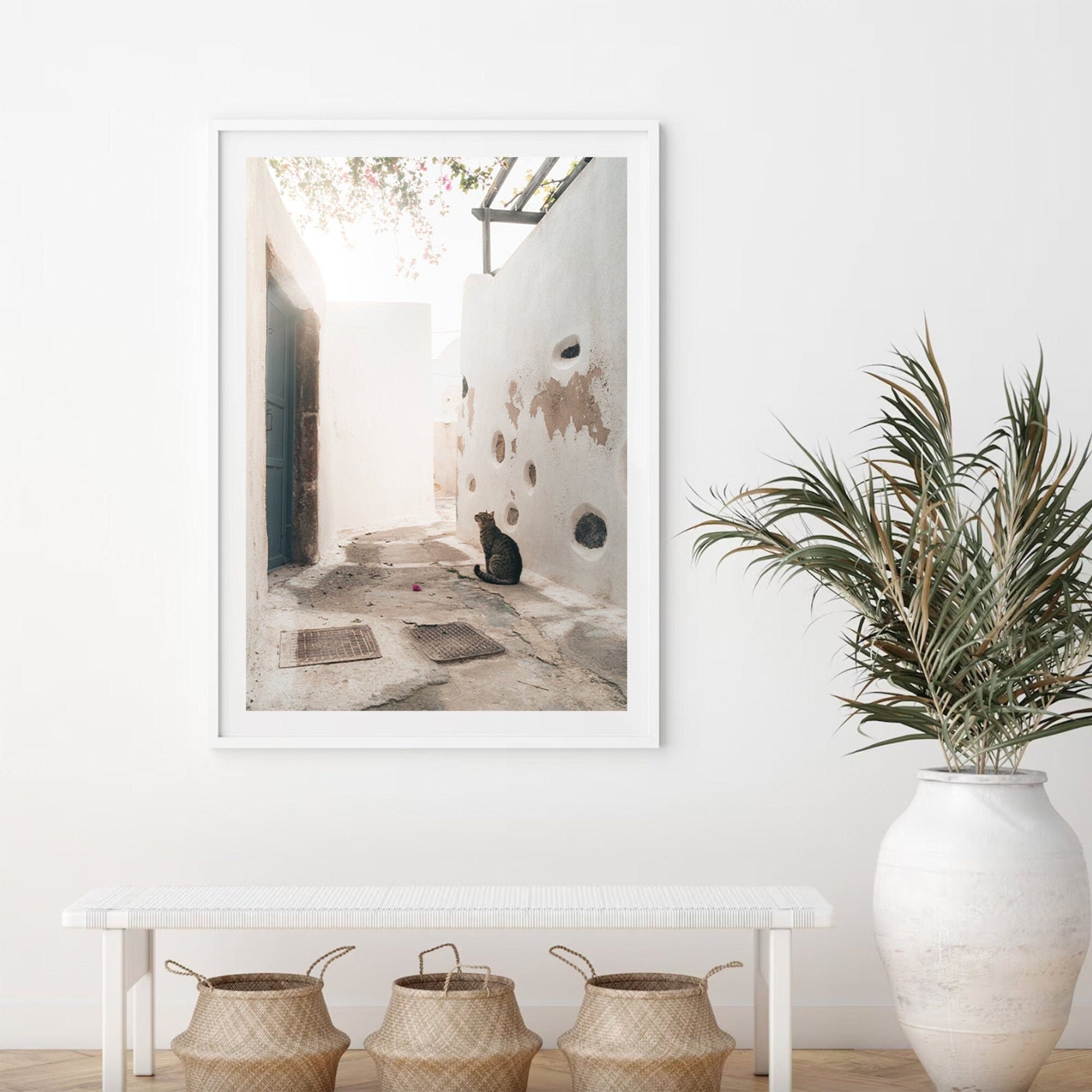 Emporio Cat photo hangs above a white bench with baskets; a potted plant sits beside the bench.
