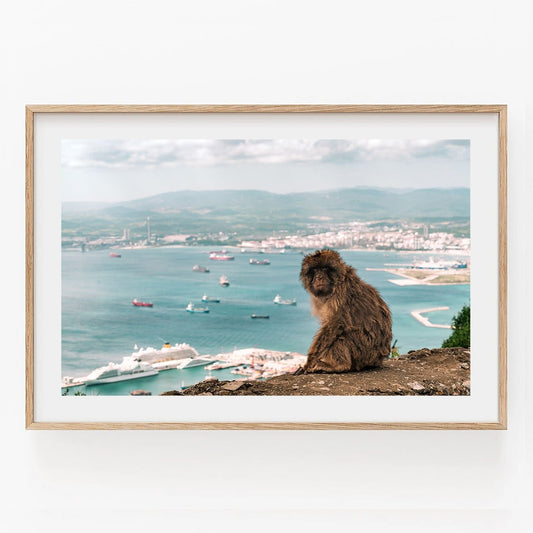 A Gibraltar Monkey sits on a cliff, gazing over a ship-filled harbor and hills under a cloudy sky.