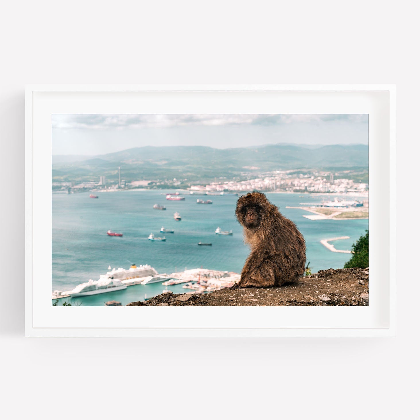 A Gibraltar Monkey sits on a cliff, overlooking the sea with ships and distant land in the background.
