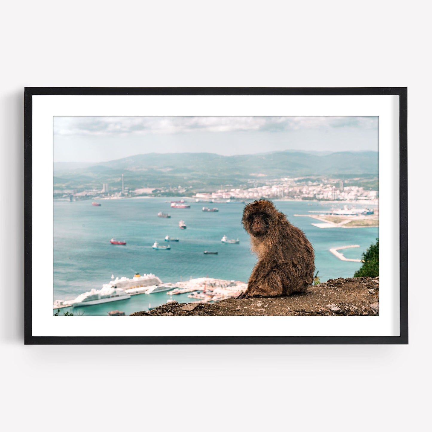Framed photo titled Gibraltar Monkey shows a monkey on a rock with harbor and cityscape background.