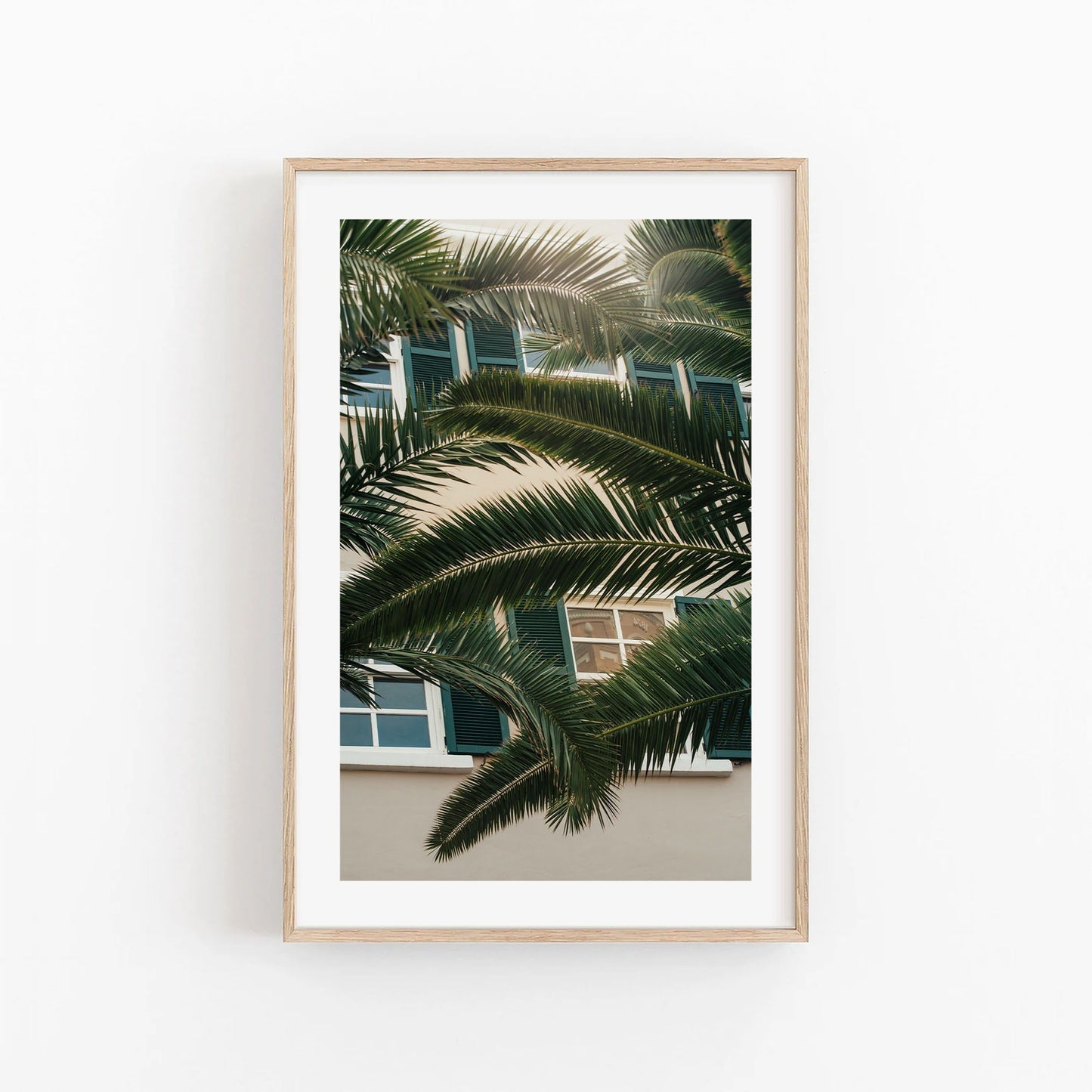 Framed Gibraltar Palm artwork of overlapping palm fronds against a building with blue shutters and windows.