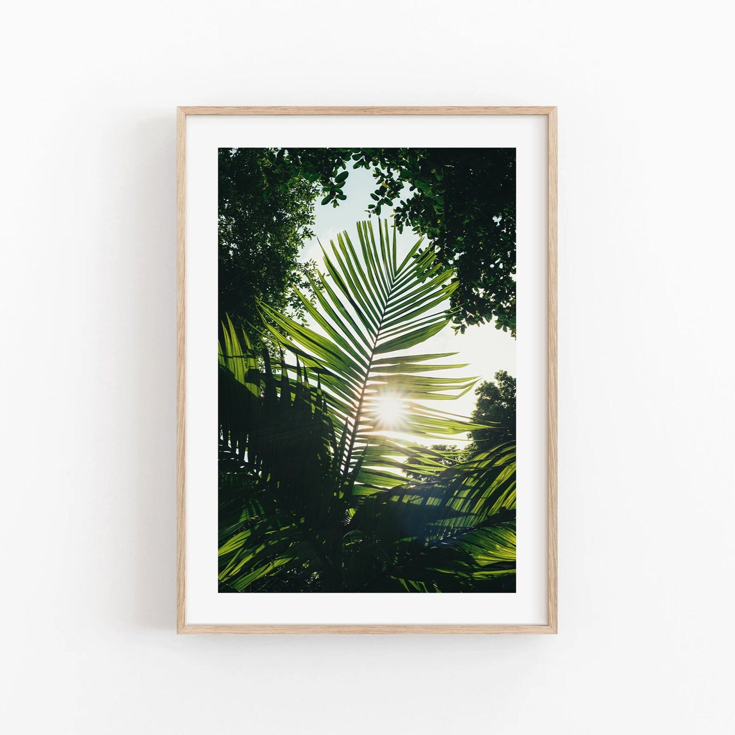 Framed Glimpse of Hope photo: sunlight through green palm leaves on a white wall.