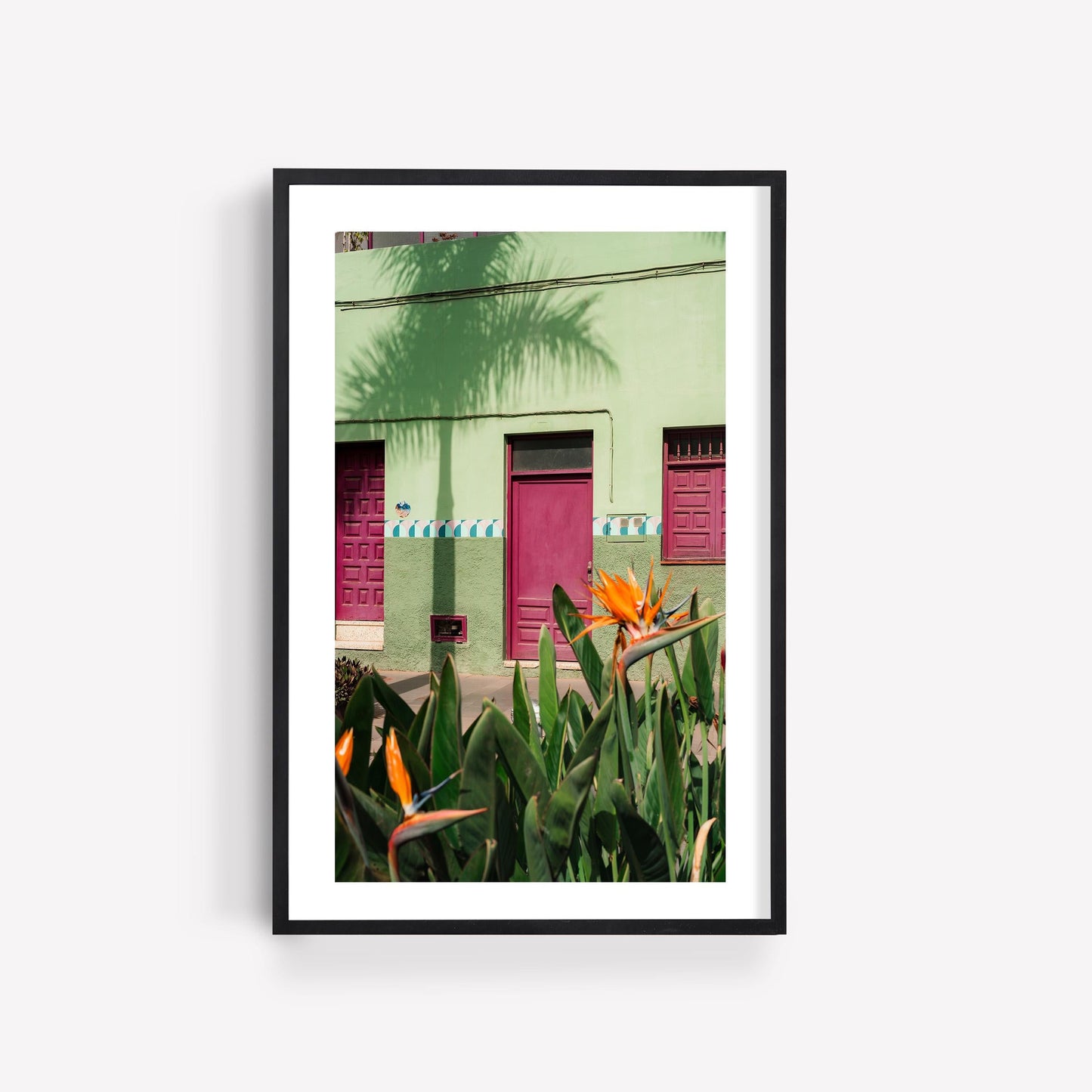 Framed photo titled Hot House Paradise featuring a green building with pink doors, windows, and bird of paradise flowers.