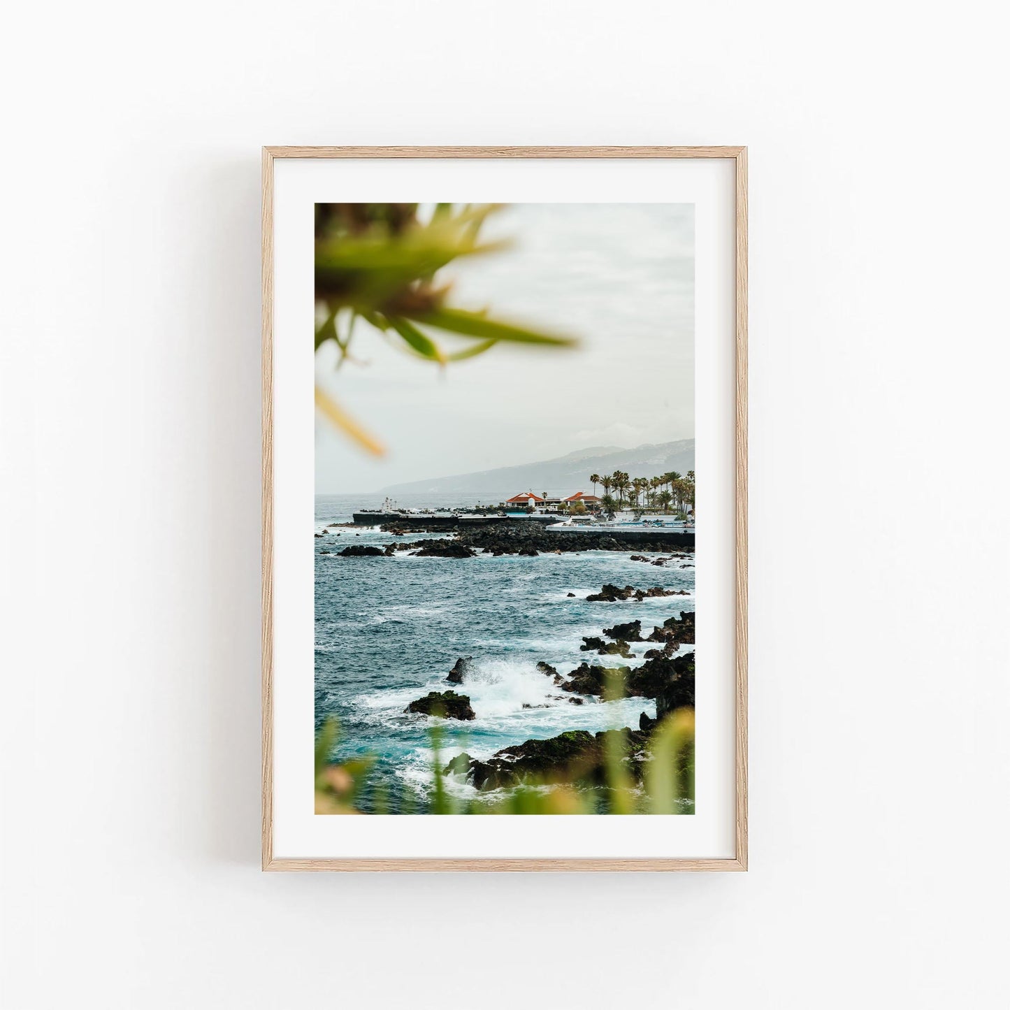 Coastal Glimpse: Framed photo of rocky shoreline, distant buildings, and cloudy sky, seen through green leaves.