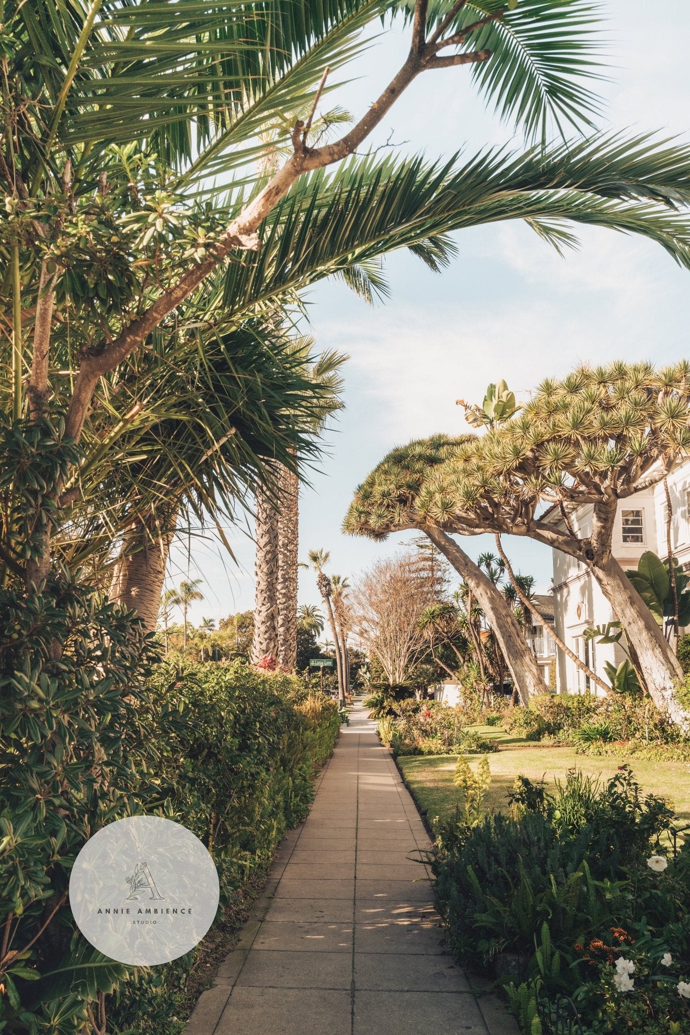 Loma Lane California - Annie Ambience