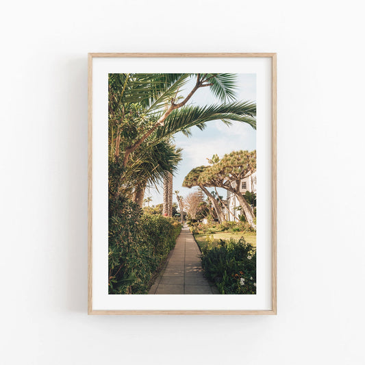 A framed Loma Lane photo: a sunny garden pathway with palm trees and shrubs under a clear sky.