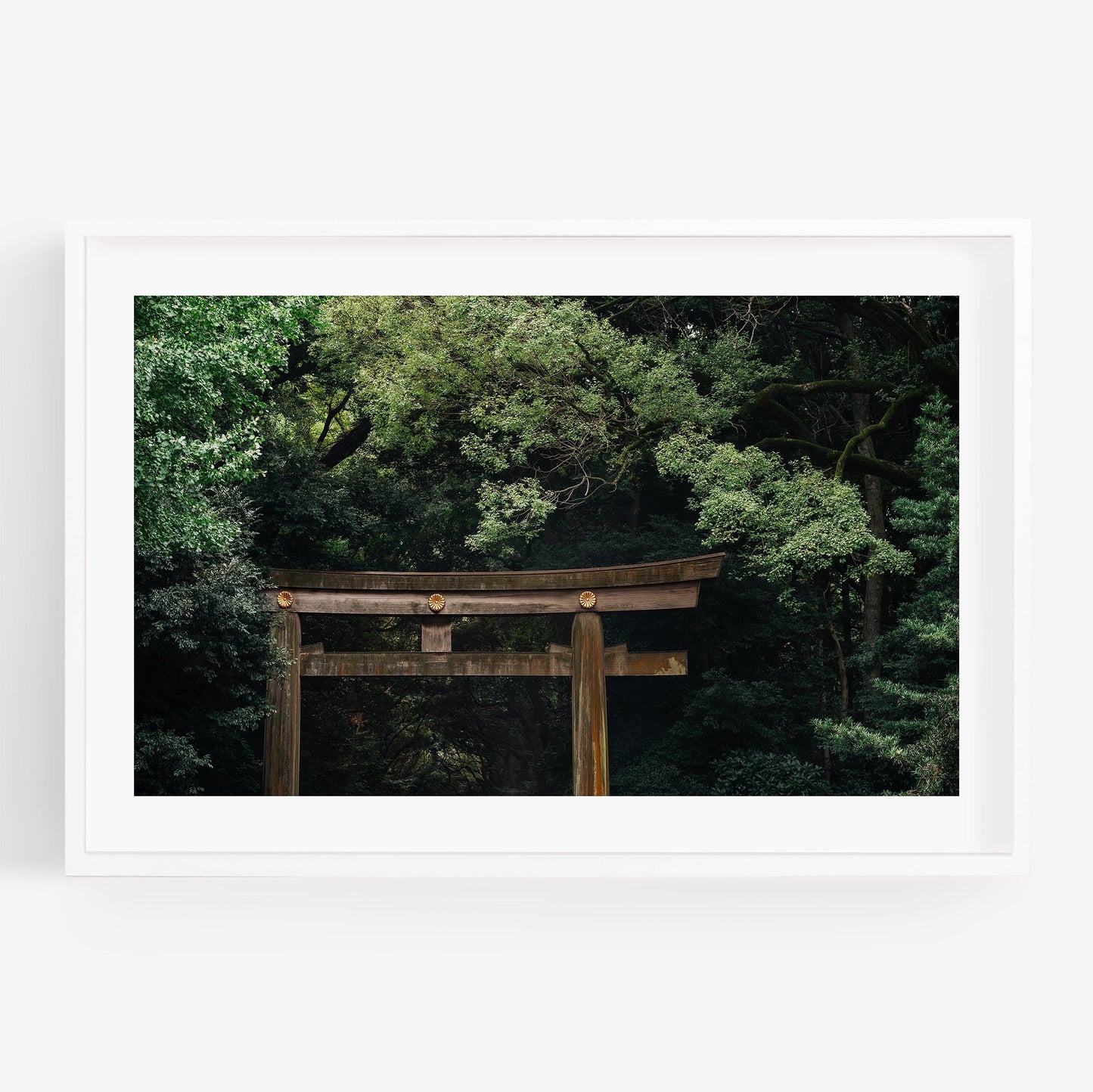 A wooden torii gate at Meiji Jingu Shrine stands amid dense green trees, framed in a white border.