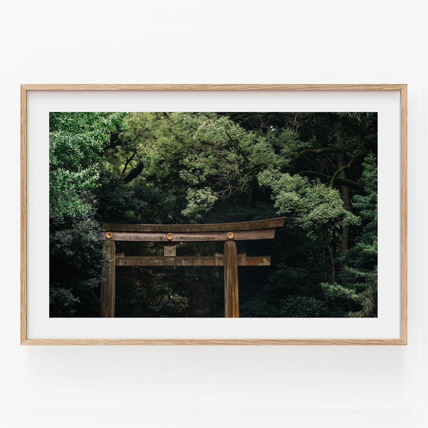 Meiji Jingu Shrine photo: wooden torii gate before lush trees, in a simple wood frame on a white wall.