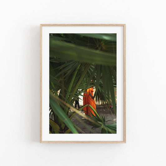 Framed photo Monk of a person in an orange robe under lush green palm fronds.