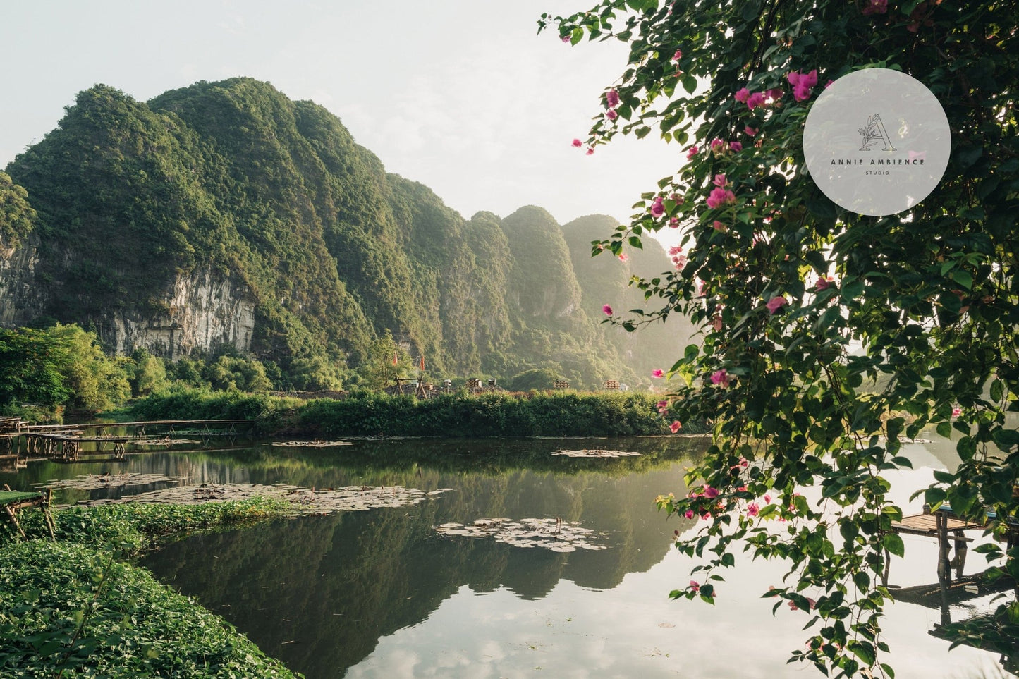 Ninh Binh Serenity: A tranquil lake with water lilies, lush mountains, flowering vines, and a clear sky.