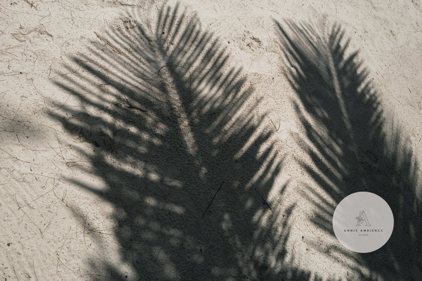 Palm Shade: Palm leaf shadows on sand with a circular logo in the bottom right.