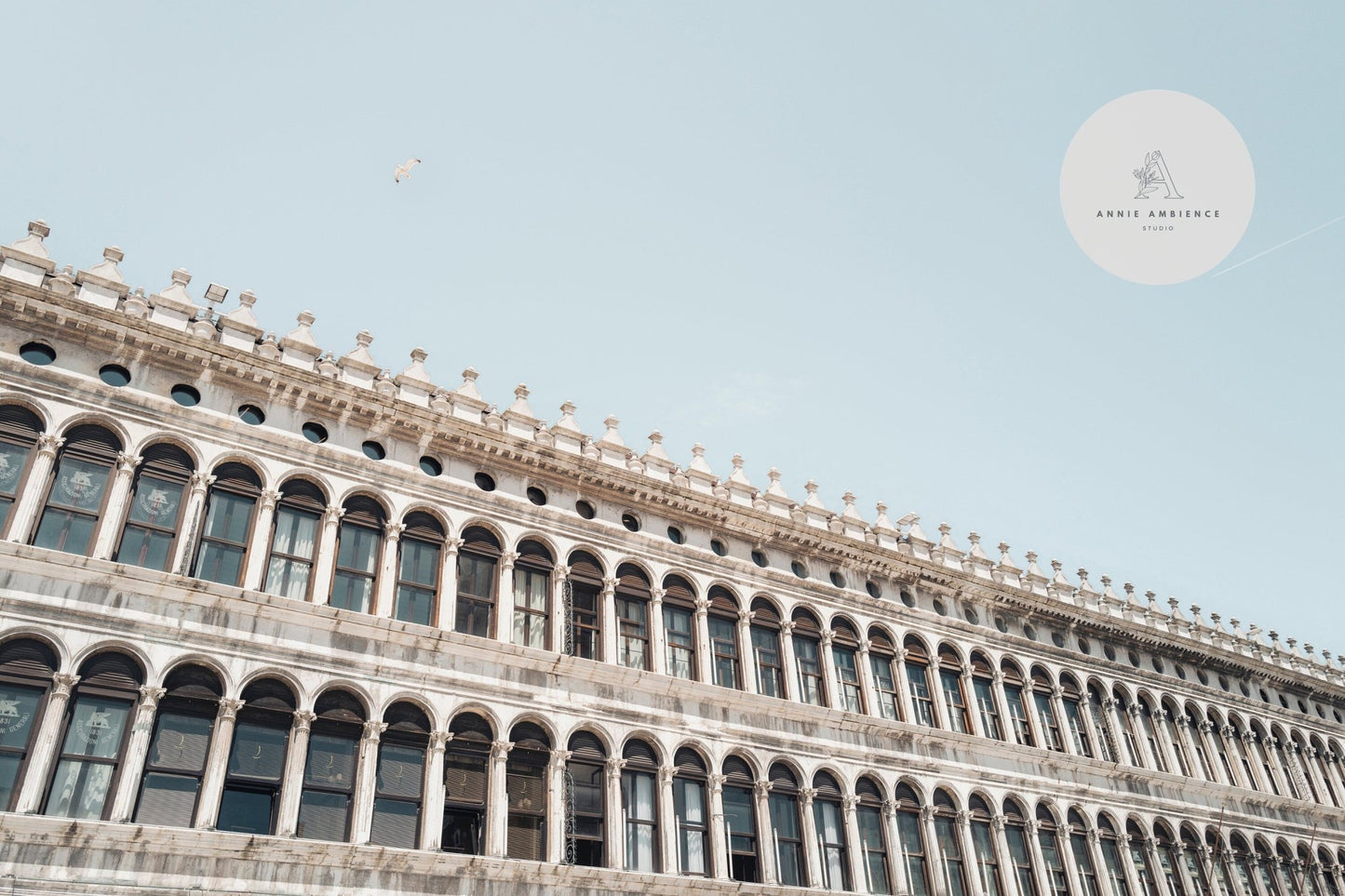 The Procuratie Vecchie, a grand historic building with arched windows, stands under a clear sky with a bird overhead.