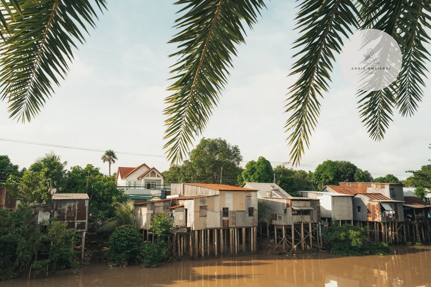 River Homes feature stilt houses surrounded by lush greenery and palm fronds by the river.