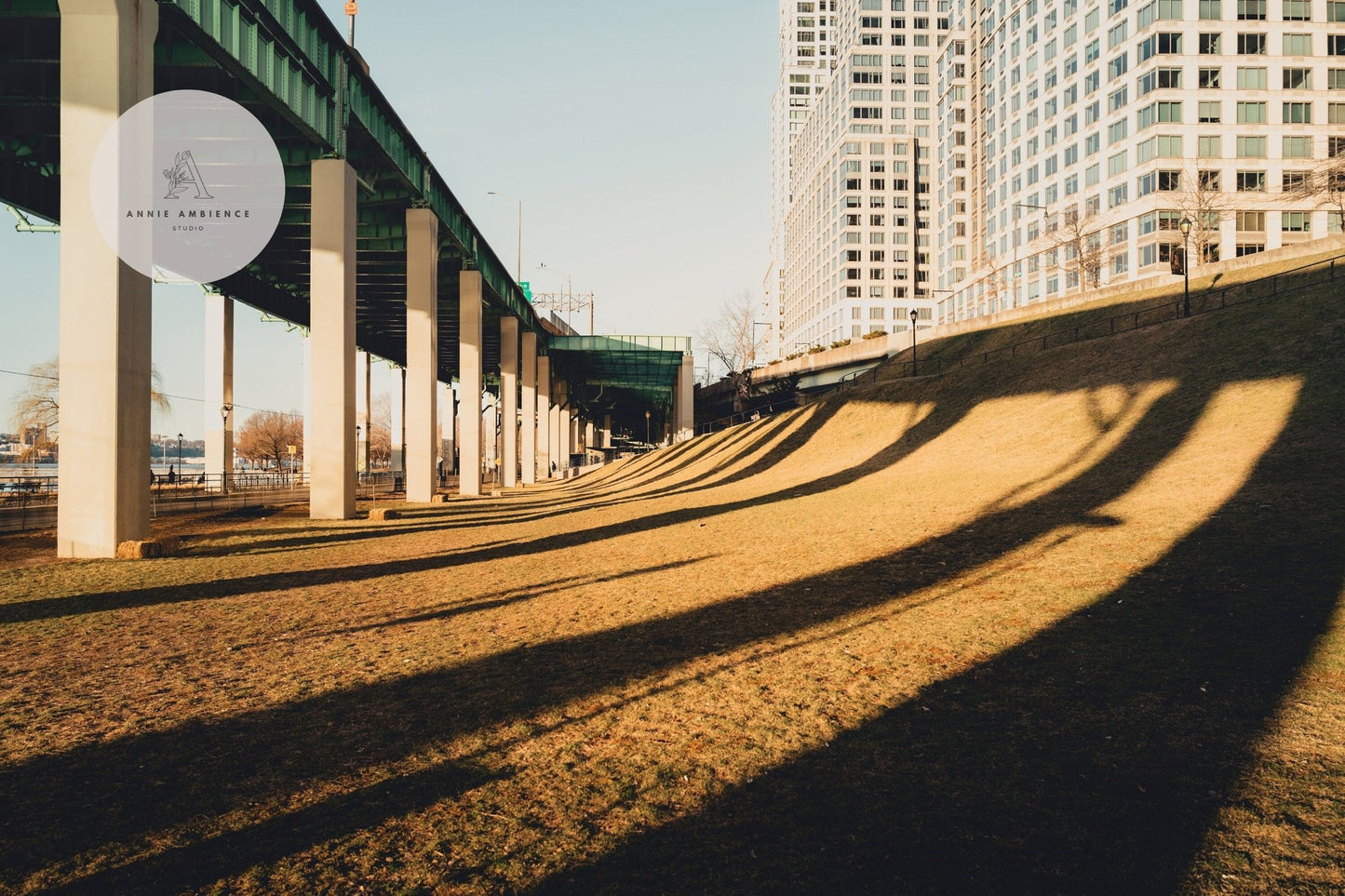 Riverside shadows fall on a grassy slope, tall buildings rise in the background.