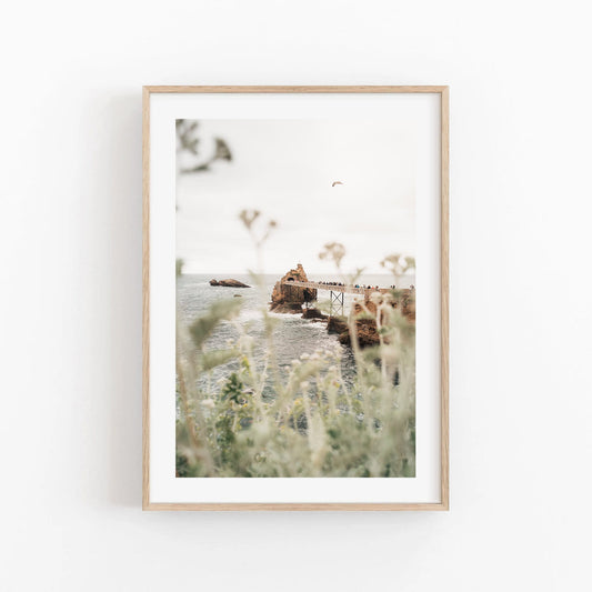 Roche de le Vierge features a coastal pier, distant figure, bird in flight, and blurred wildflowers.