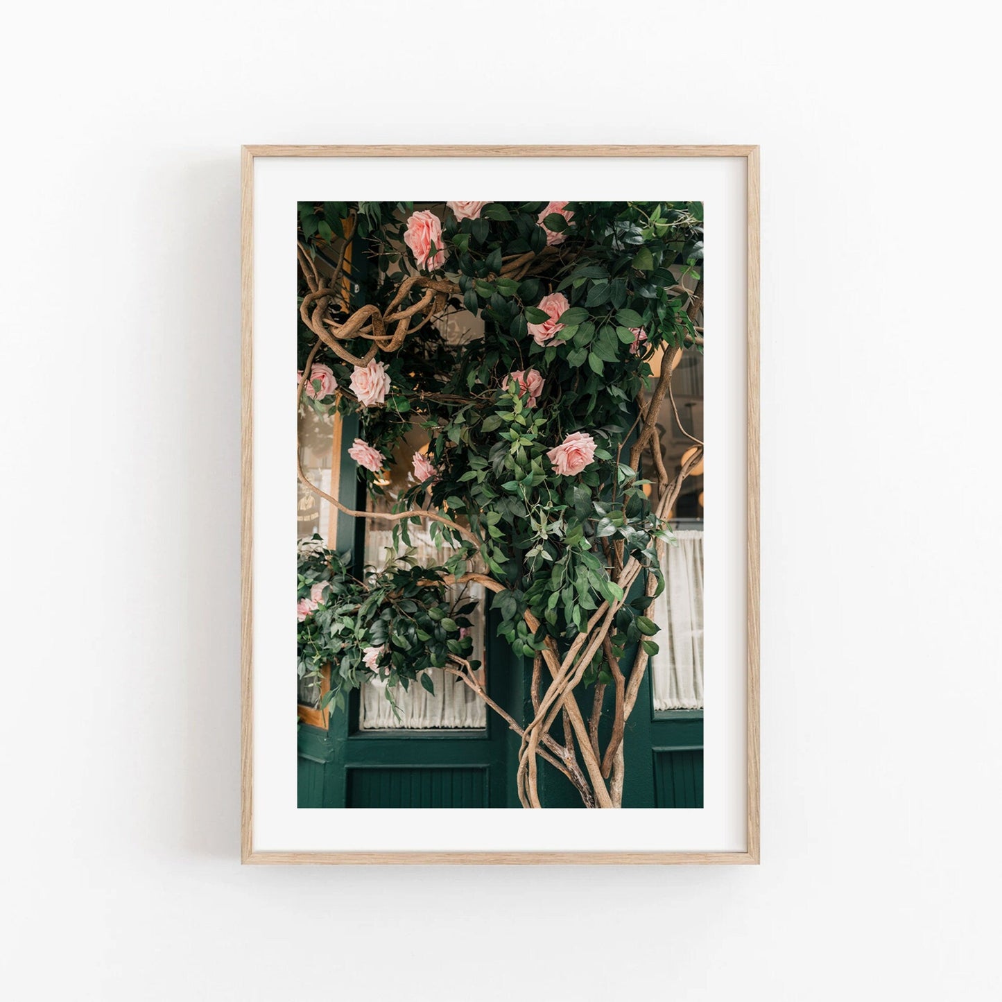 Framed photograph titled Rose Vine, featuring a lush plant with blooming pink roses against a window backdrop.