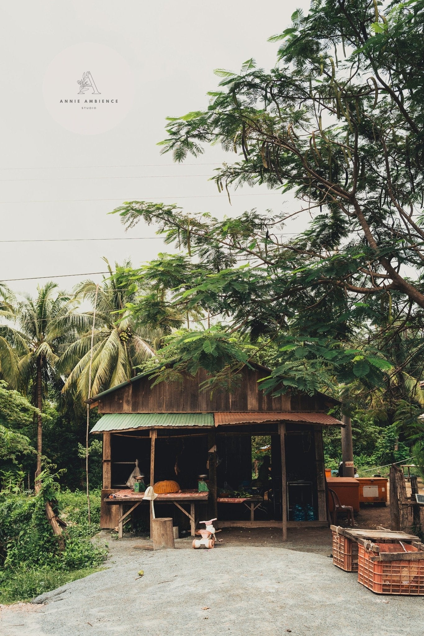 A Rural Shop with a tin roof, nestled among lush palm trees and greenery.