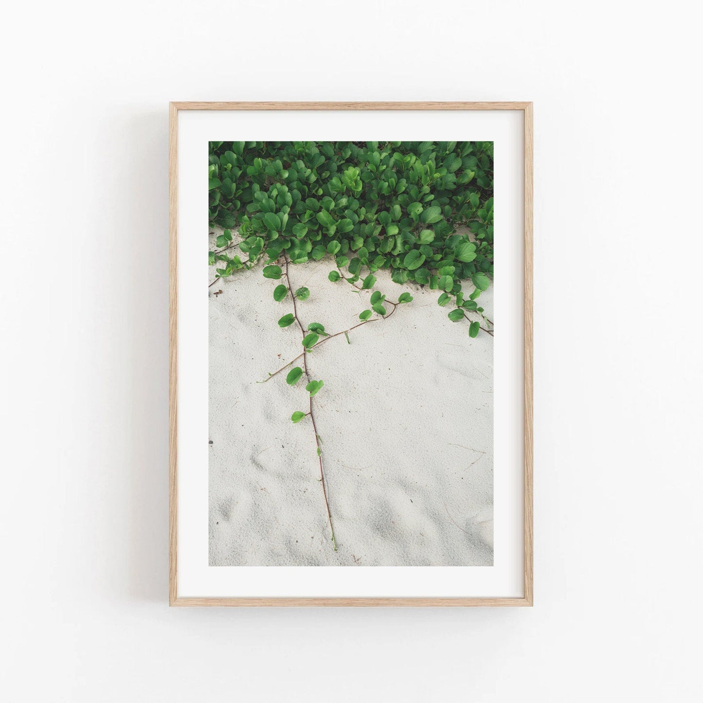 A framed photo titled Sandy Garden II features green vines on white sand with a white wall background.