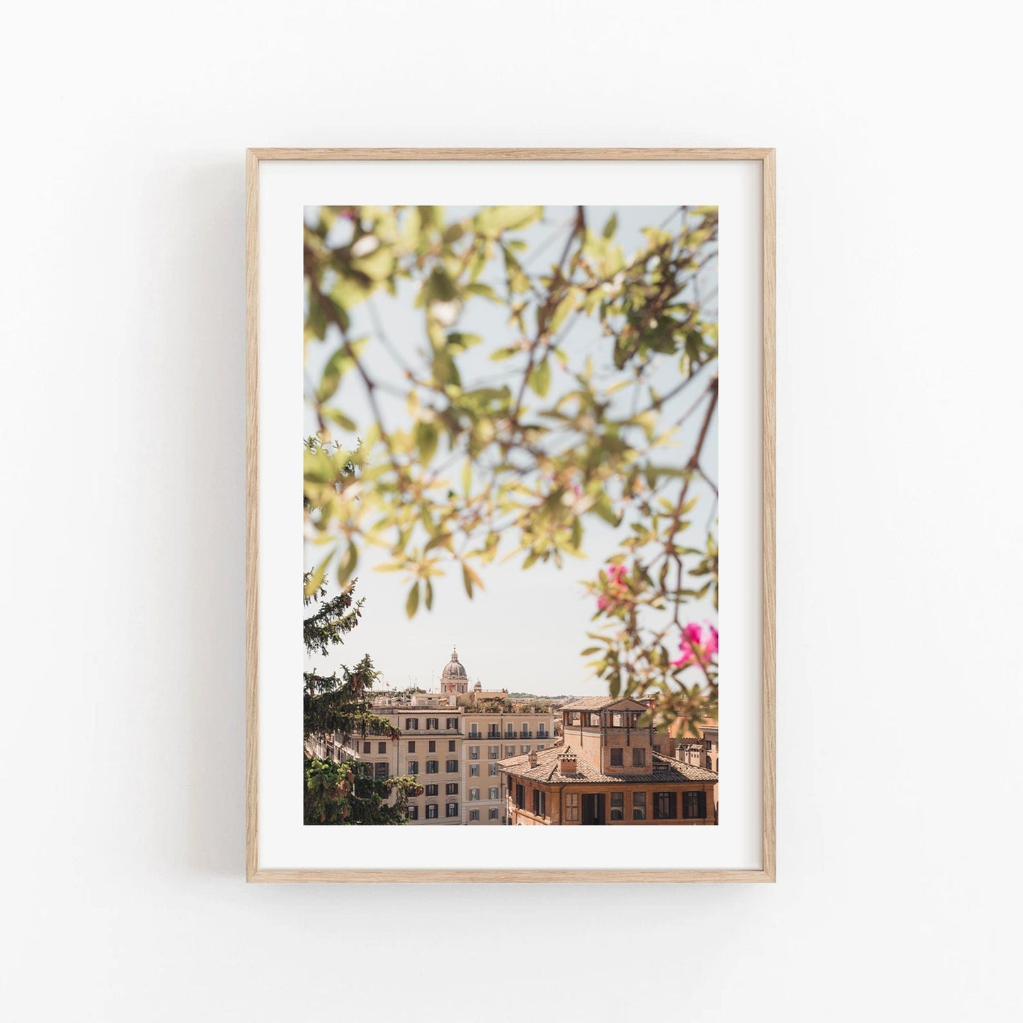 Framed photo, "Spanish Steps View": cityscape with tree branches in front and historic buildings behind.