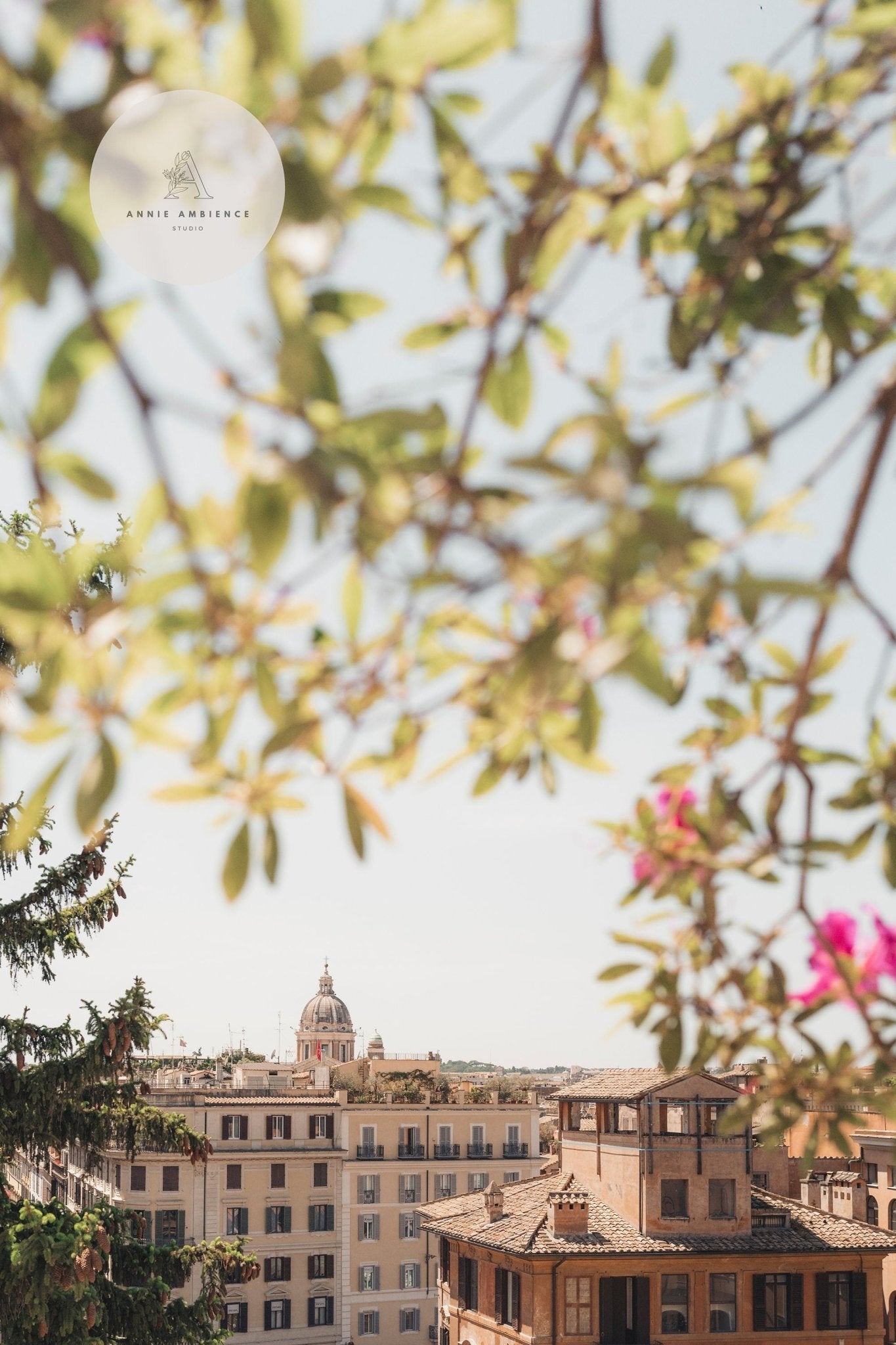 Spanish Steps View: Cityscape with historic buildings and a dome, framed by green leaves and pink flowers.