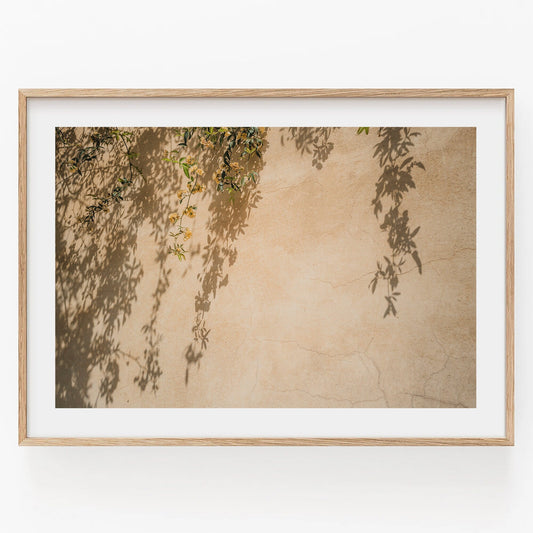 Spring Breeze framed photo of plant shadows on a textured beige wall.