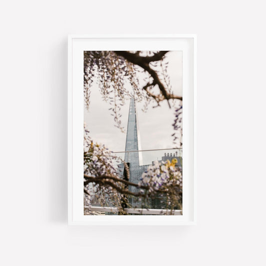 Springtime Shard: Framed photo of a pointed building through blooming branches against a cloudy sky.
