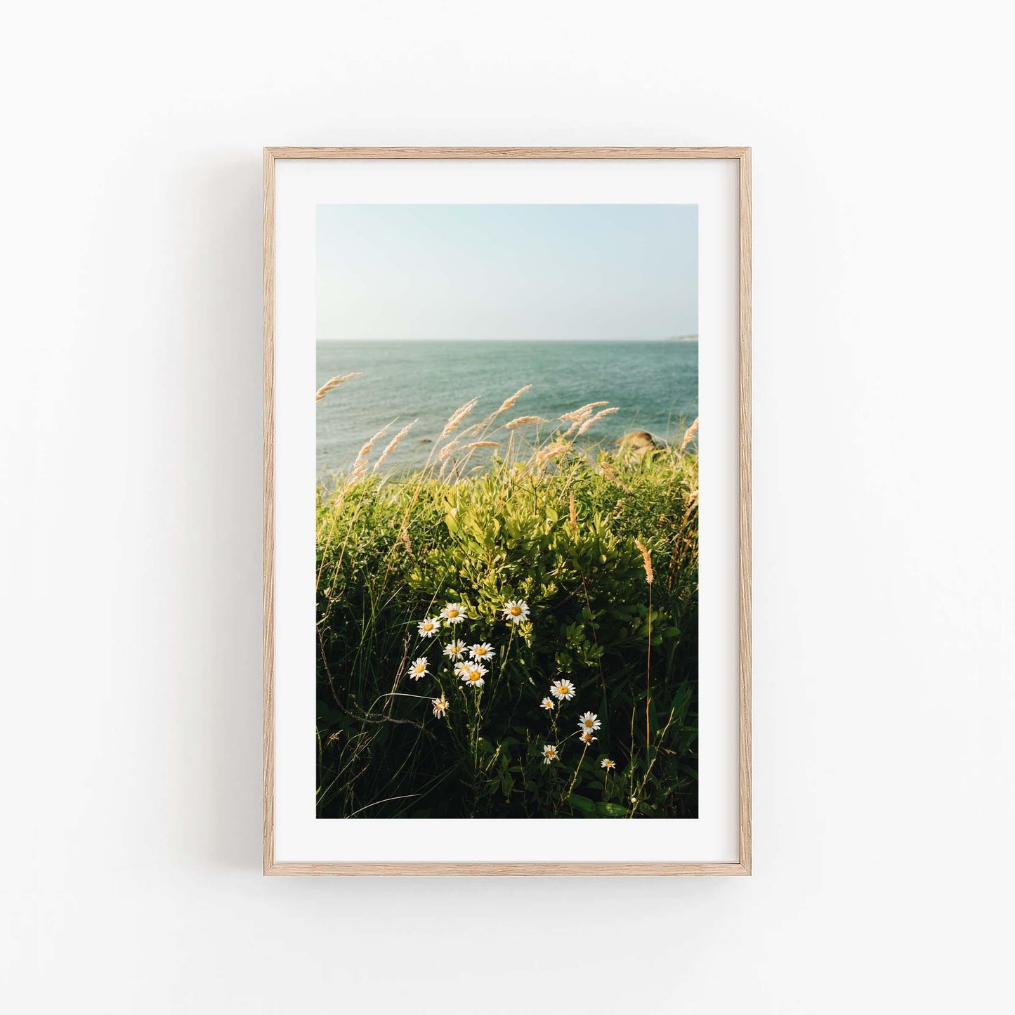 Cape Cod New England Coastal Wall Art, Coastal Botanical Fine Art Photography, Modern Wildflower Scenic Bay Prints, MA Summer Beach Decor