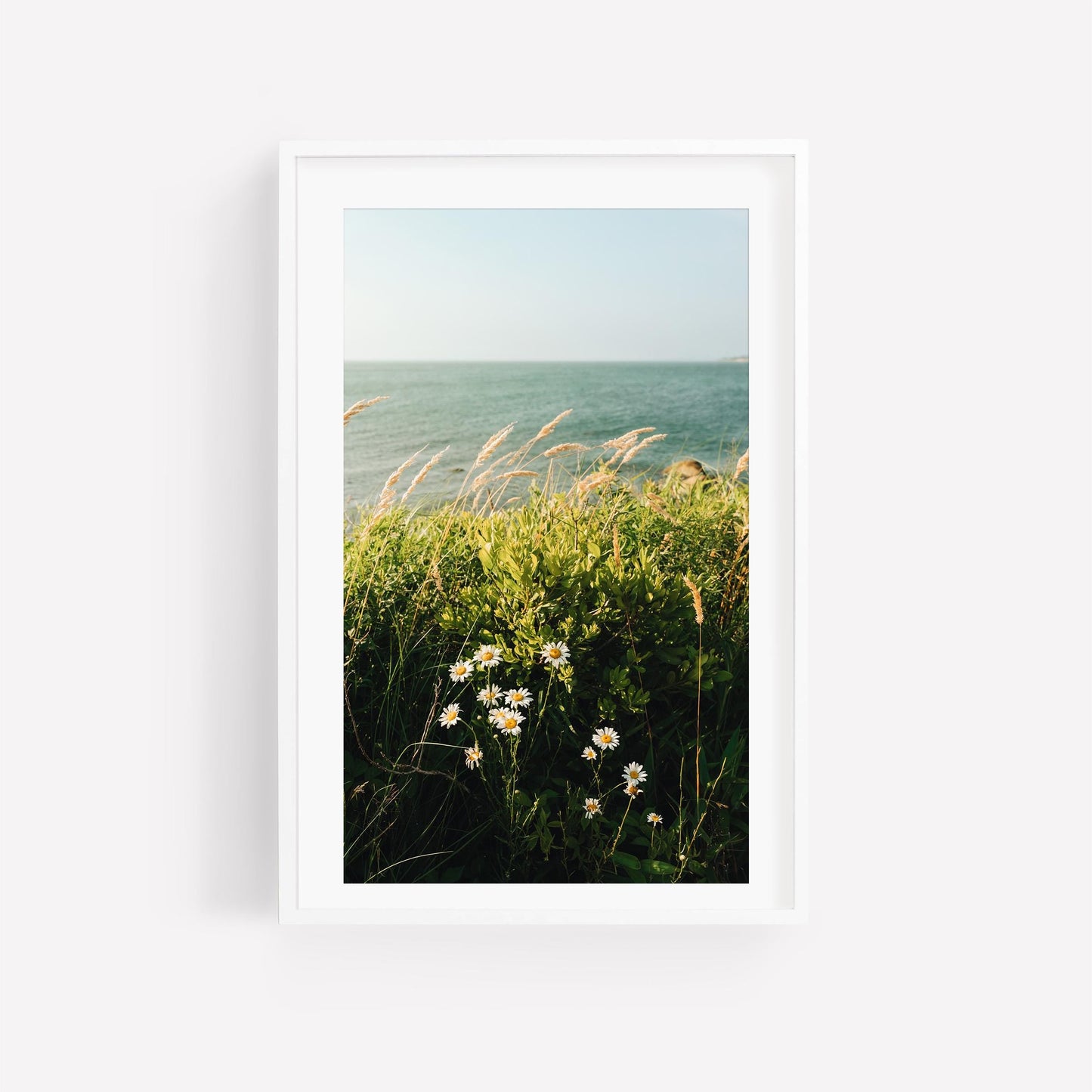 Cape Cod New England Coastal Wall Art, Coastal Botanical Fine Art Photography, Modern Wildflower Scenic Bay Prints, MA Summer Beach Decor