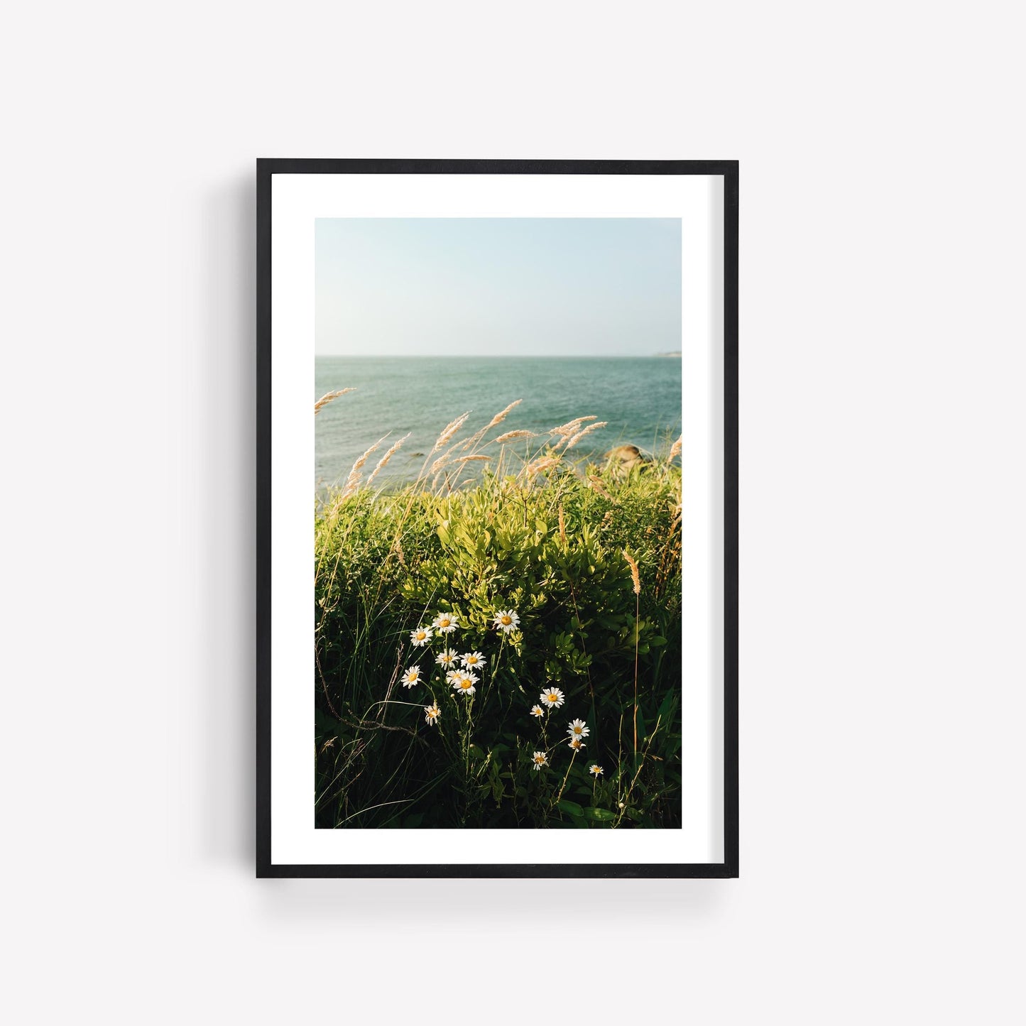 Cape Cod New England Coastal Wall Art, Coastal Botanical Fine Art Photography, Modern Wildflower Scenic Bay Prints, MA Summer Beach Decor