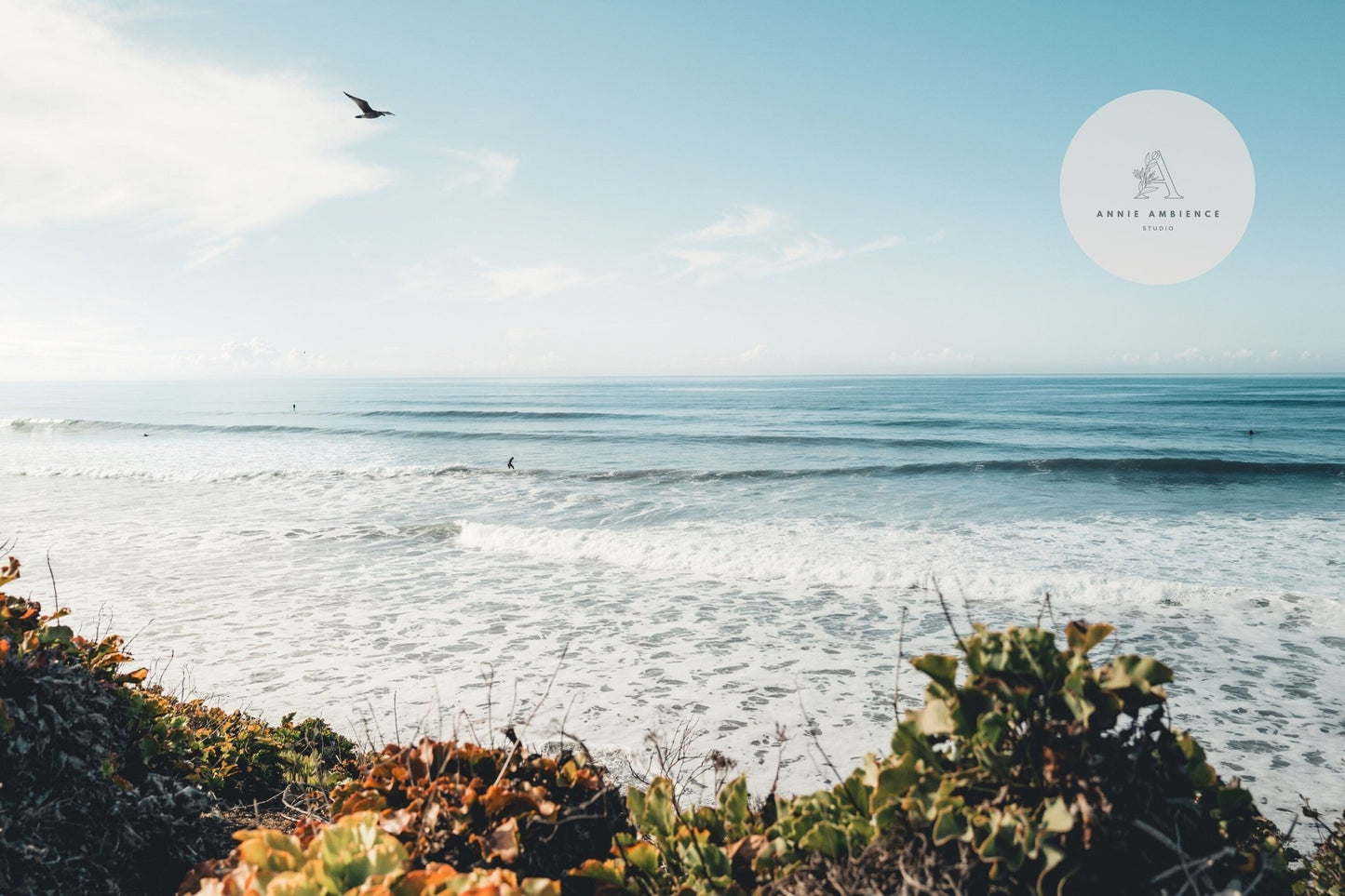 Surf and Sky: Ocean view with gentle waves, a bird flying, and green foliage under a clear blue sky.