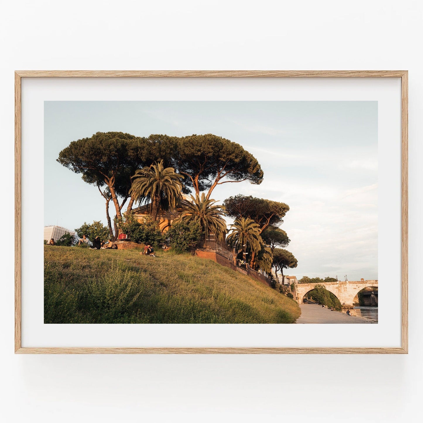Framed photo titled Tiber Island Delight I shows a serene park with palm trees, a distant bridge, and partly cloudy sky.