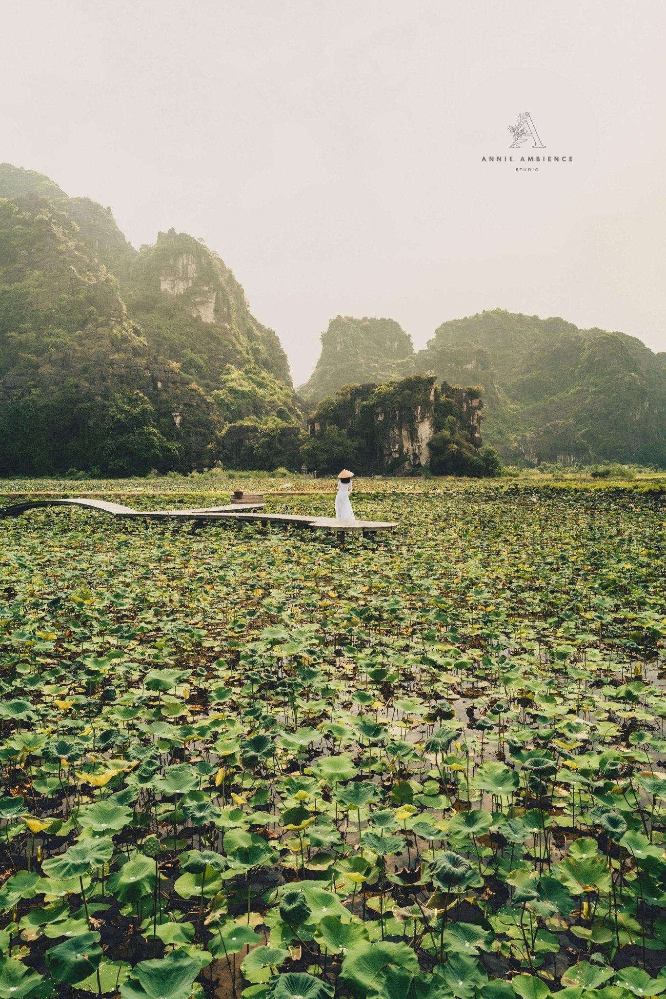 Vietnam Countryside - Set of 3 SETS OF 3 - Annie Ambience