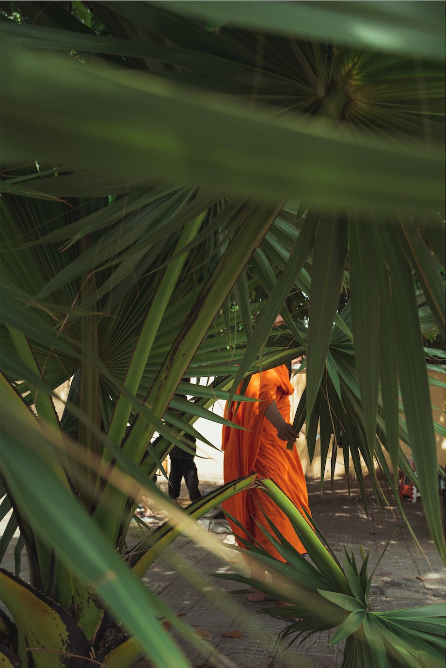 10 Days in Cambodia Travel Itinerary - Annie Ambience