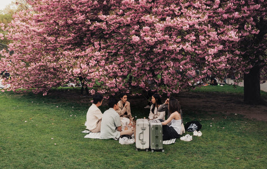 Best Activities in Central Park During Spring - Annie Ambience