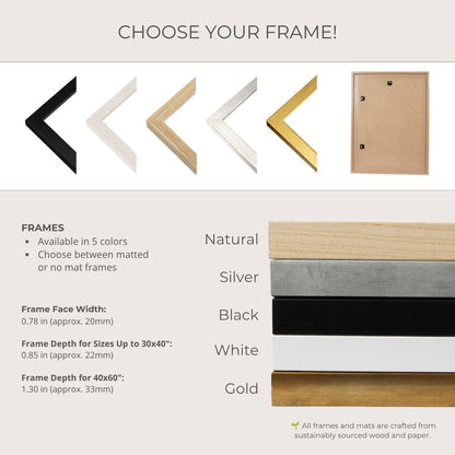 a variety of framed artworks, each with different frame colors and sizes, as well as a natural wood frame.