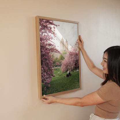 A woman hangs "Cherry Blossom I," a framed photo of pink blooms and a historic building in a park.