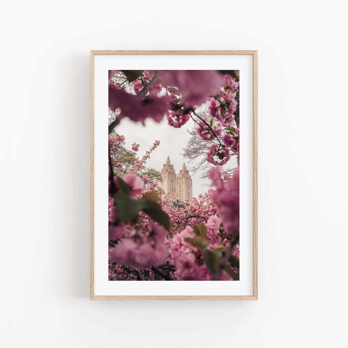 Framed photo "Cherry Blossom II" features pink cherry blossoms and a tall ornate building against a light sky.