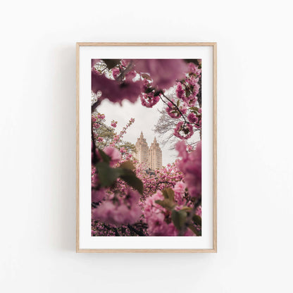 Framed photo "Cherry Blossom II" features pink cherry blossoms and a tall ornate building against a light sky.