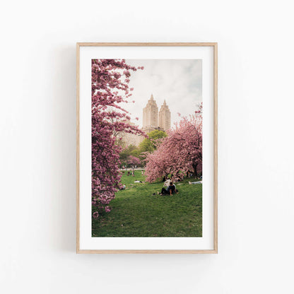 Framed "Cherry Blossom I" photo of people on grass under cherry trees with city buildings in the background.