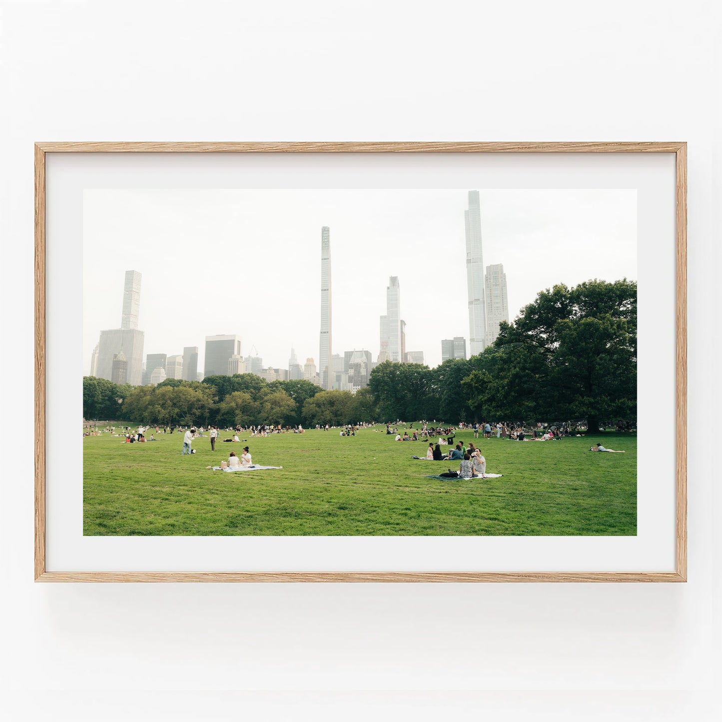 People relaxing on the Great Lawn, a grassy park area with trees and city buildings in the background.