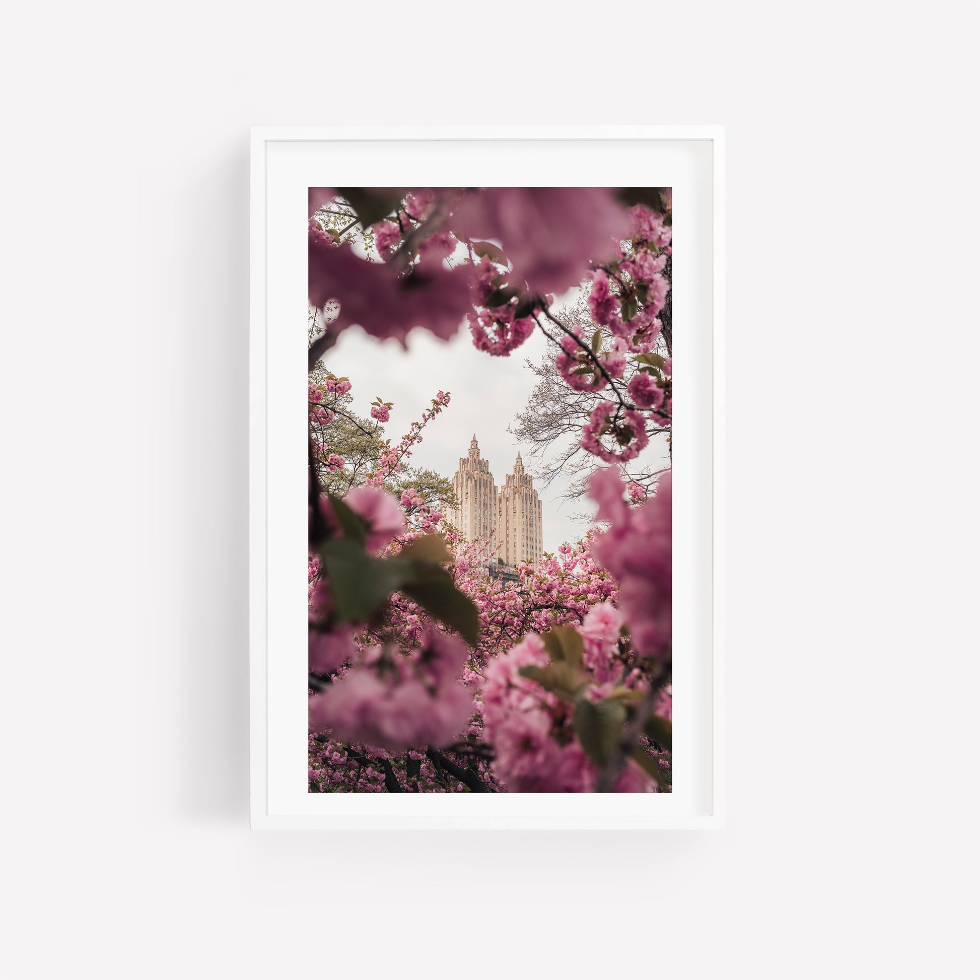 Framed "Cherry Blossom II" photo of a tall building viewed through pink blossoms against a pale sky.