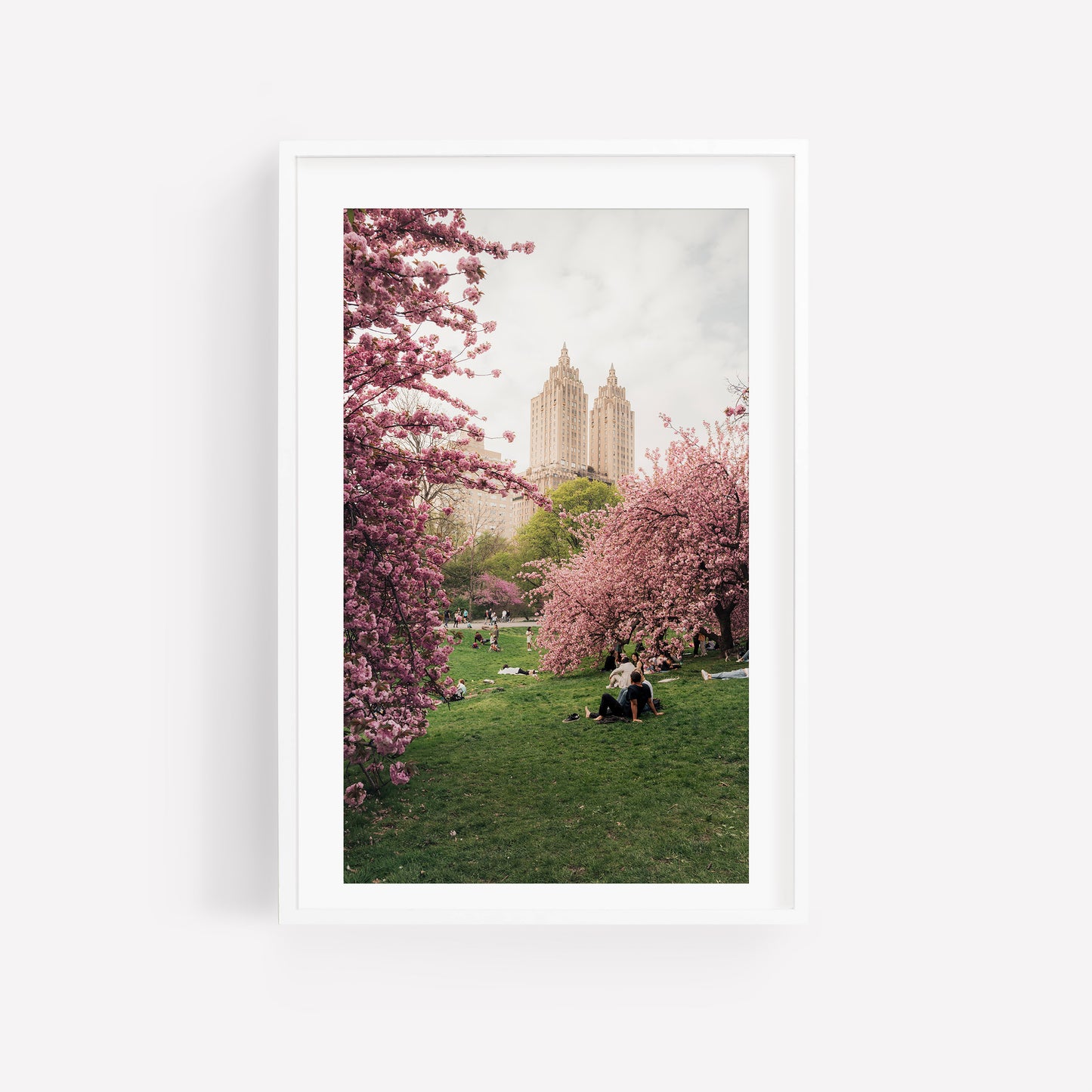 Cherry Blossom I: Framed photo of people relaxing on grass under pink cherry blossoms with city buildings behind.